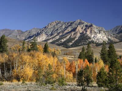 Sawtooth Scenic Byway
