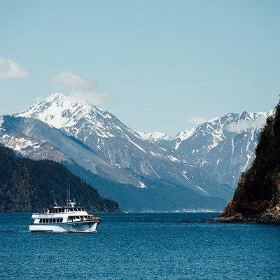 Kenai Fjords National Park Cruise from Seward