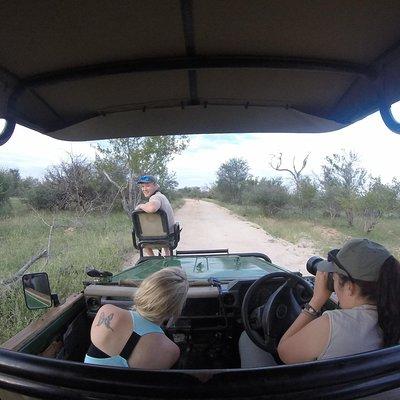 6 Day Classic Kruger National Park Safari from Johannesburg 