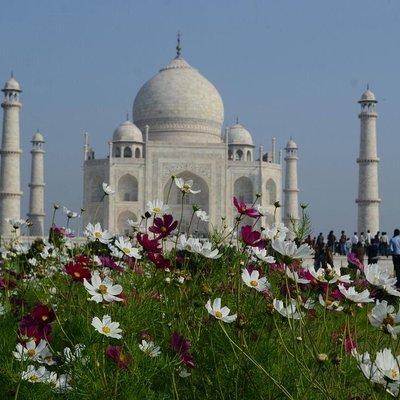 Delhi to Agra and Taj Mahal Private Day Trip by Express Train with Lunch