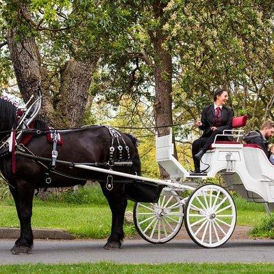 Beacon Hill Park Horse-Drawn Carriage Experience in Victoria
