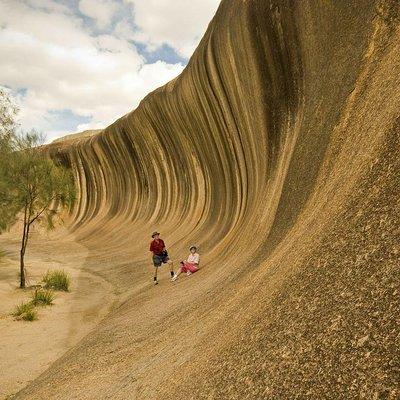 Wave Rock, York, Wildflowers, and Aboriginal Cultural Day Tour from Perth