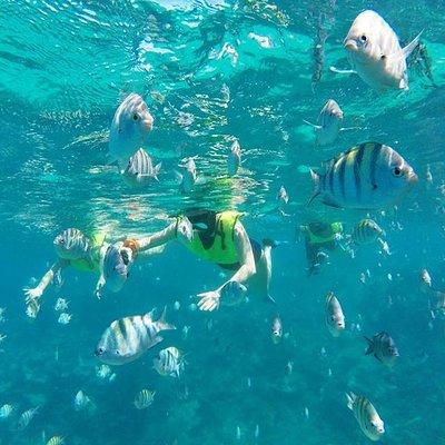 Discover Sosua's Underwater World & Beach Day