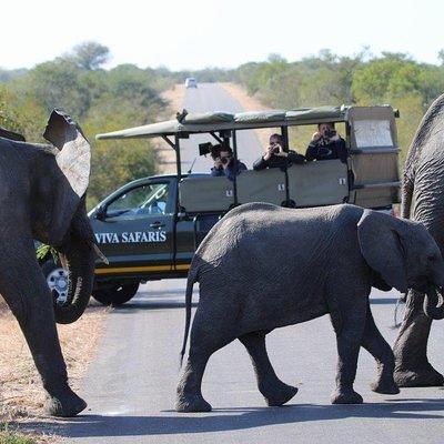 4 Day Classic Kruger National Park Safari