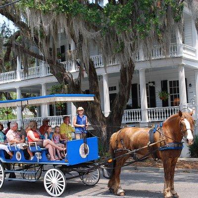 #1 Historical Horse Drawn Carriage Tour