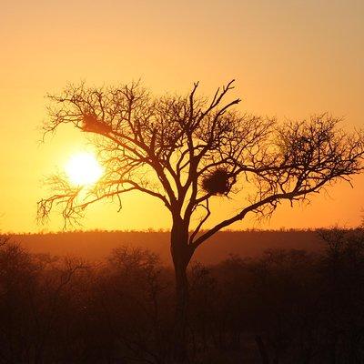3 Day Kruger National Park tour