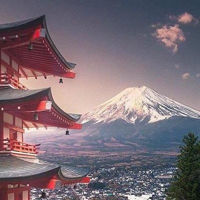 Private Sightseeing to Mt Fuji and Hakone guide