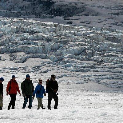Full Day Guided Glacier Hike on The Athabasca with IceWalks