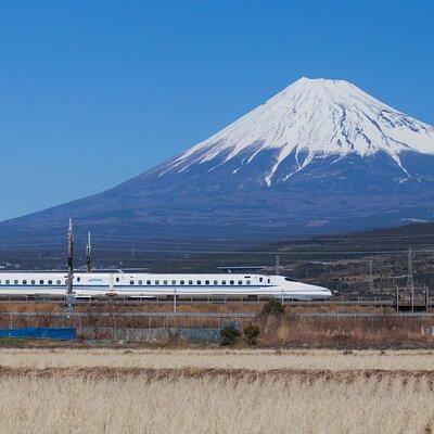 Mt. Fuji and Hakone Day Trip From Tokyo with Bullet Train Option