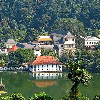 Kandy Day Trip with Tooth Relic Temple & Unique Attractions