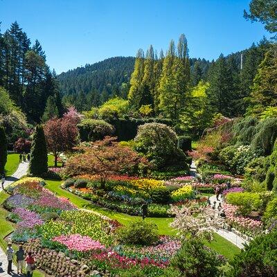Discover Victoria & Butchart Gardens Tour from Vancouver