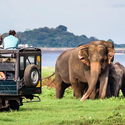 GO WILD! Double Safari Day Trip (Yala & Udawalawe) - Private & All Inclusive 