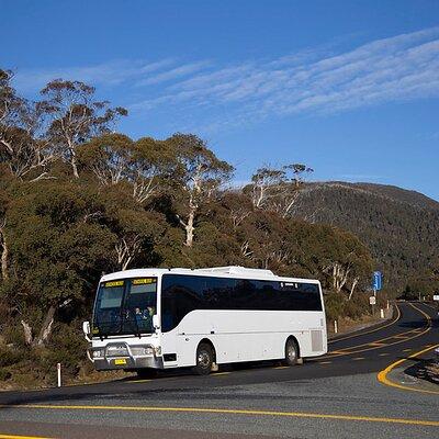 Thredbo & Perisher Bus Trip from Canberra