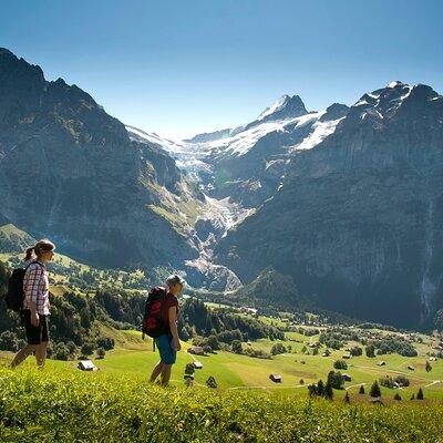 Swiss Villages Grindelwald and Interlaken Day Trip from Zurich