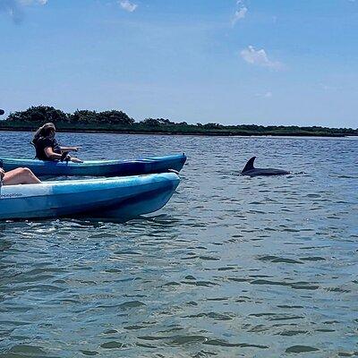 Deluxe Dolphin Kayak Tour