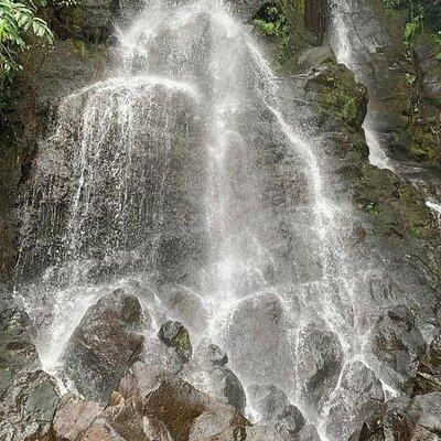 Hawaii's Forest Walking Tour with Waterfall and Swimming Pool