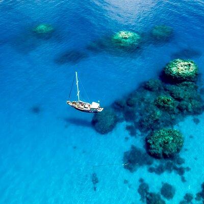 Coral Sea Dreaming: Overnight Dive, Snorkel & Sail from Cairns