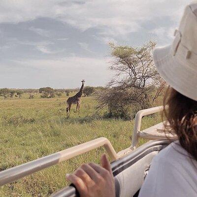 4 Days Masai Mara and Lake Nakuru Mid-Luxury safari