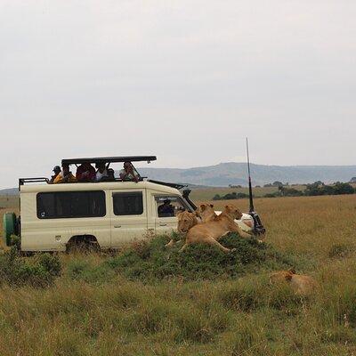 5-Day Private Tour in Kenya's Best Game Parks