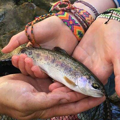 Family Fun Private Half Day Fly Fishing Adventure