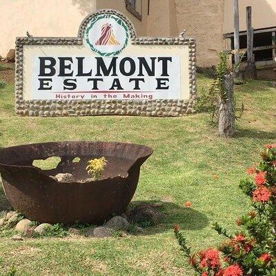 Full-Day Tour: Belmont Estate, Rum Distillery, Grand Etang