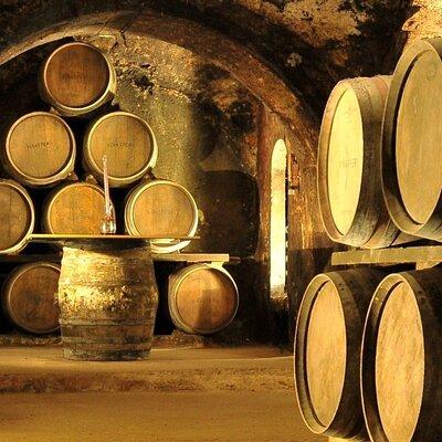 Rioja wine region with visit to winery & Vitoria-Gasreiz