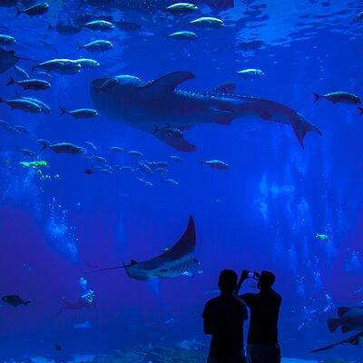 Mazatlan City Tour & Aquarium