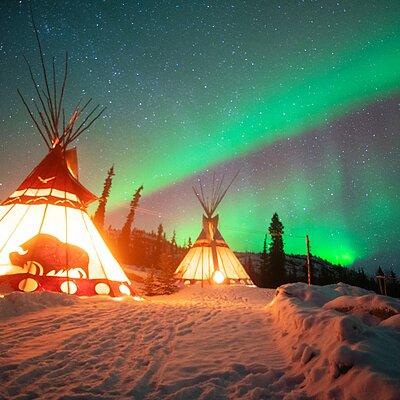 Arctic Day: Aurora Viewing Tour | late night