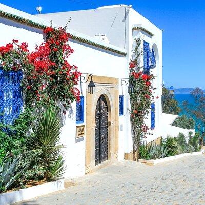 Ancient Carthage and Sidi Bou Said Half Day Tour with Lunch