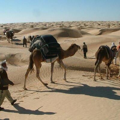 Tunisian Sahara Two-day Tour from Hammamet