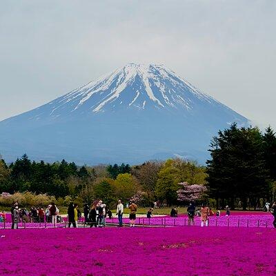Mt. Fuji & Lake Kawaguchiko Private 1 Day Tour With Pick & Drop 