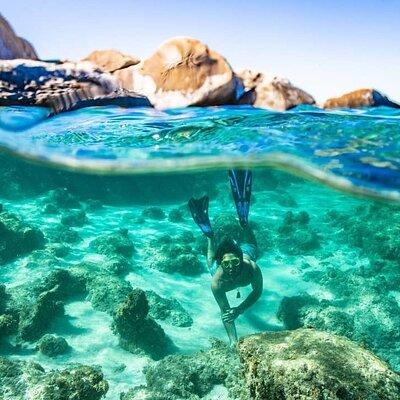 Private Under the Sea Snorkeling Adventure!!