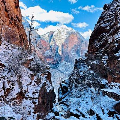 Zion National Park: Private Guided Hike & Picnic