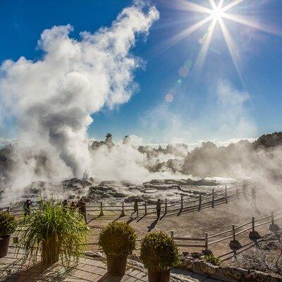 Rotorua Highlights Small Group Tour Including Te Puia from Auckland