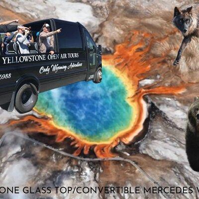 Private”GLASS TOP/CONVERTIBLE”Mercedes Van Tours of Yellowstone 