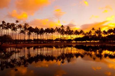 Best Time to Vist Honolulu