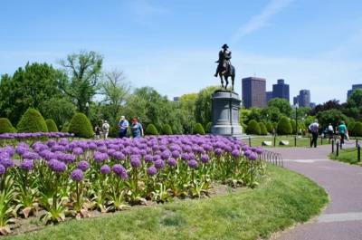 Visit Boston on a Budget: Top Ways to Save Money on Your Next Trip to Beantown