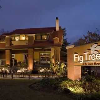 The Fig Tree Restaurant - Charlotte, NC