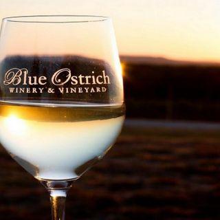 Blue Ostrich Winery & Vineyard