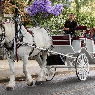 Heritage Horse-Drawn Carriage Tour of Victoria