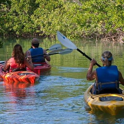 Key West Half Day Kayak Rental