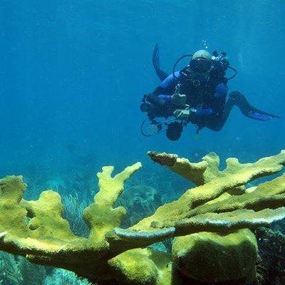 Fajardo 2-Tank Scuba Dive for Certified Divers Only