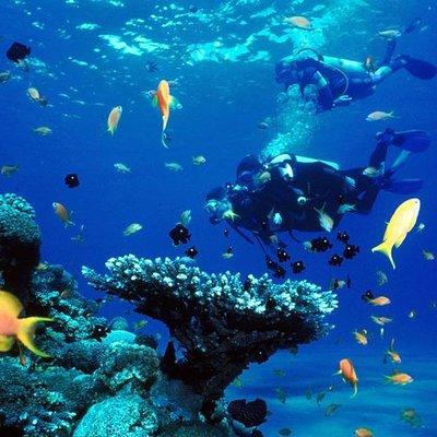 Full-Day Racha Yai Private Scuba Diving Course from Phuket