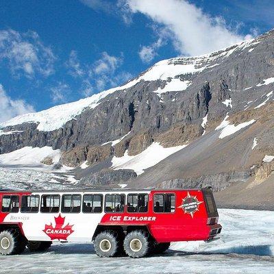 Athabasca Glacier Snow Trip from Banff