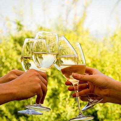 Wine Tour: Paarl, Franschhoek & Stellenbosch incl 3 wineries