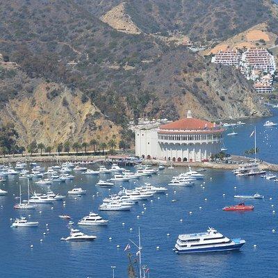 Catalina Island Day Trip from Anaheim Hotels with Discover Avalon Tour
