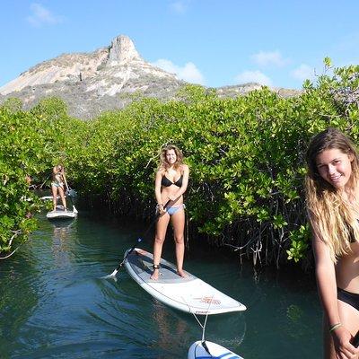 Guided paddleboarding (SUP) mangrove ECO tour for beginners