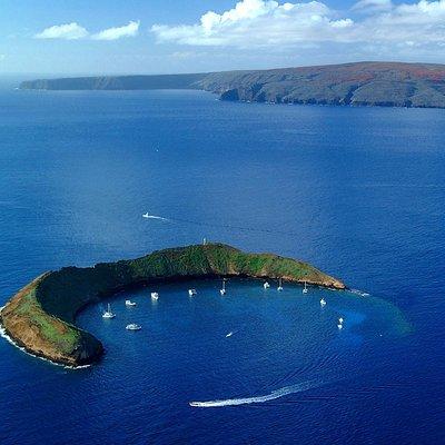 Molokini and Turtle Town Snorkeling Adventure Aboard the Malolo
