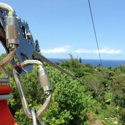 Maui Zipline Eco Tour - 8 Lines through the Jungle