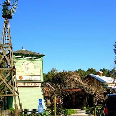 Semi-Private, Modified Hop-On Hop-Off Wine Tasting Tour from Cambria &San Simeon